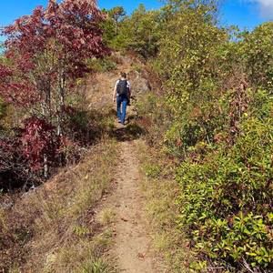 Meet your Posher, Andrei